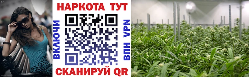 Продажа наркотиков Котово Марихуана  Амфетамин  Мефедрон  Псилоцибиновые грибы  Alpha PVP  Cocaine 