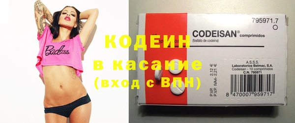 прущие грибы Белокуриха