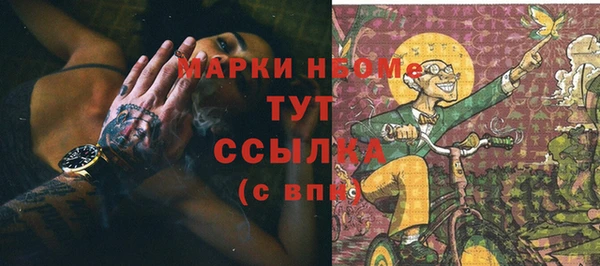 прущие грибы Белокуриха