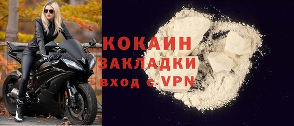 прущие грибы Белокуриха