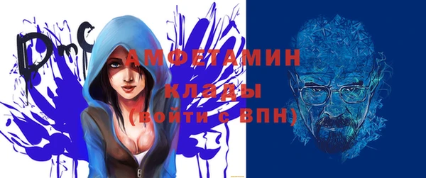 прущие грибы Белокуриха