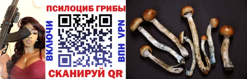 Галлюциногенные грибы прущие грибы Котово