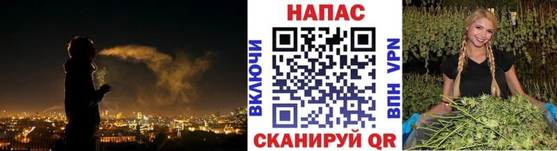 Шишки марихуана OG Kush KRAKEN tor Котово